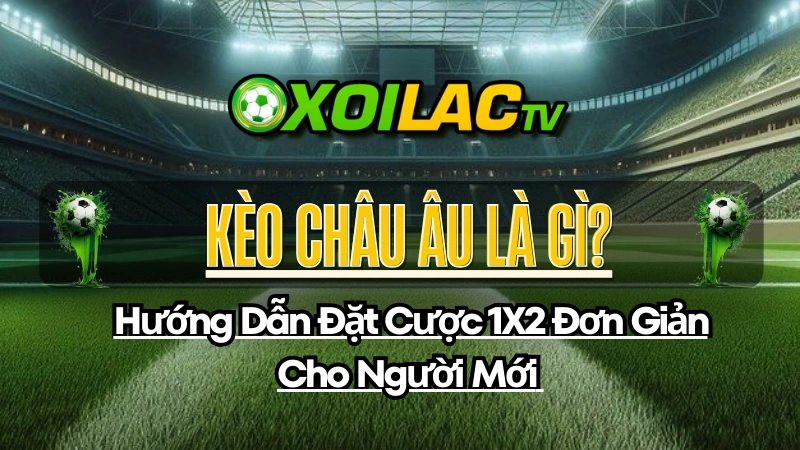 Kèo Châu Âu Là Gì? Hướng Dẫn Đặt Cược 1X2 Đơn Giản Cho Người Mới 1 Kèo Châu Âu là gì? Hướng dẫn đặt cược 1X2 đơn giản cho người mới bắt đầu